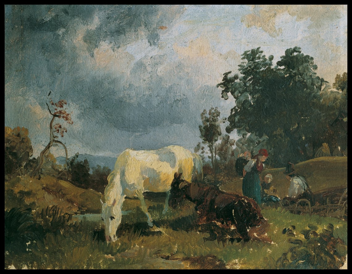 Ein Schimmel auf der Heide