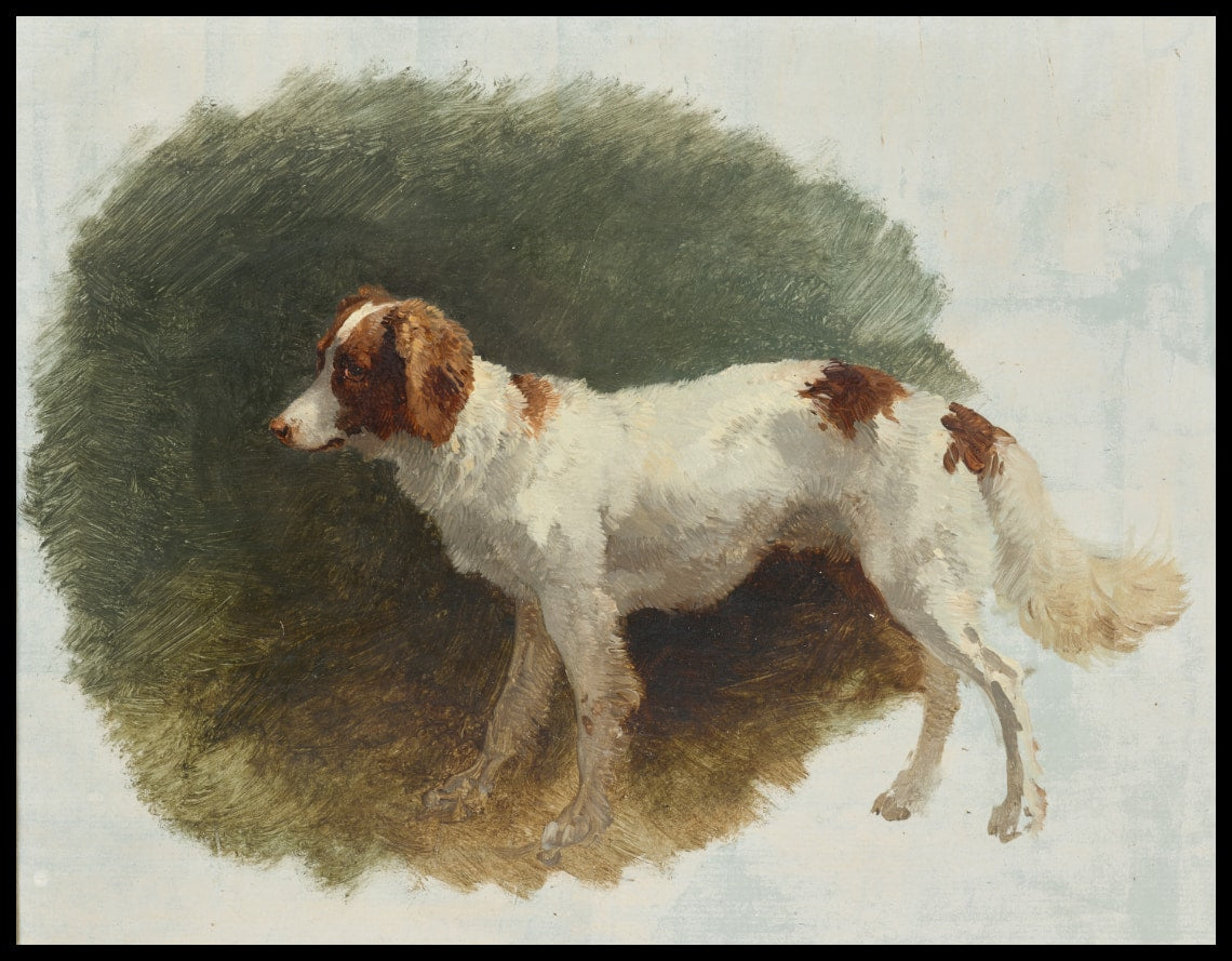 Hunting dog