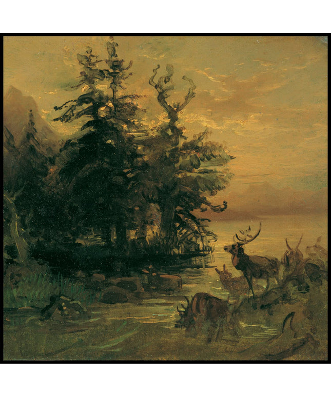 Suhlende Hirsche am Ufer eines Bergsees