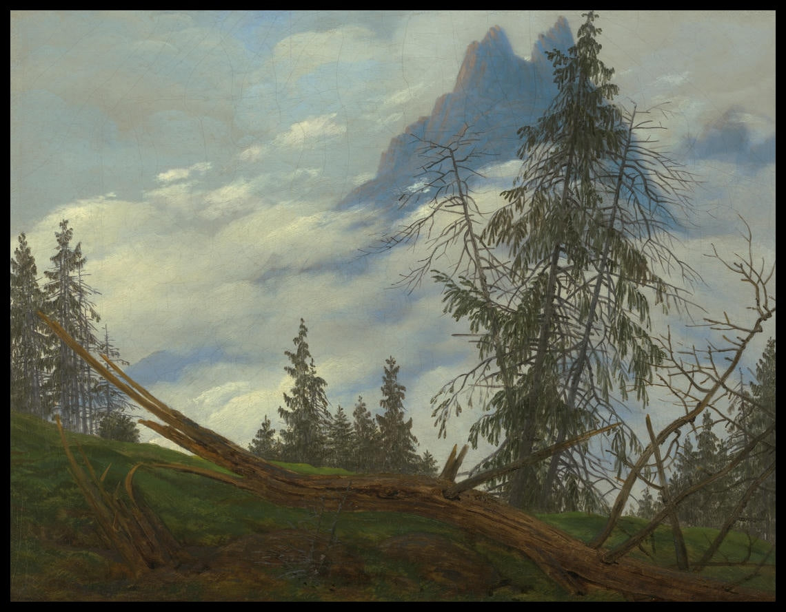 Ein Kunstdruck von einer Waldszene auf einem Berggipfel mit einem von Wolken bedeckten kargen Berggipfel im Hintergrund
