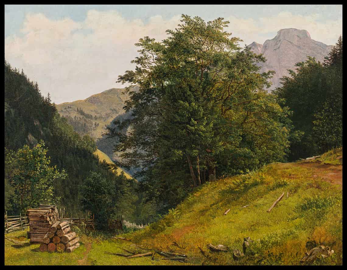View of Liefering