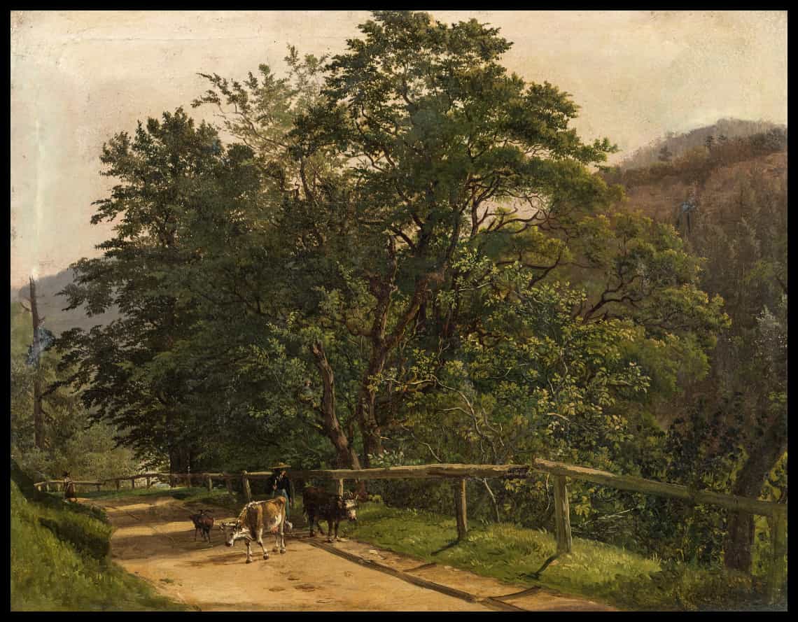 View of Liefering
