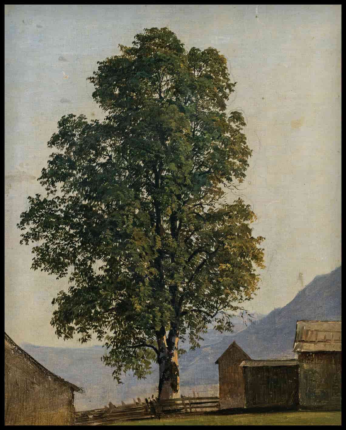 View of Liefering