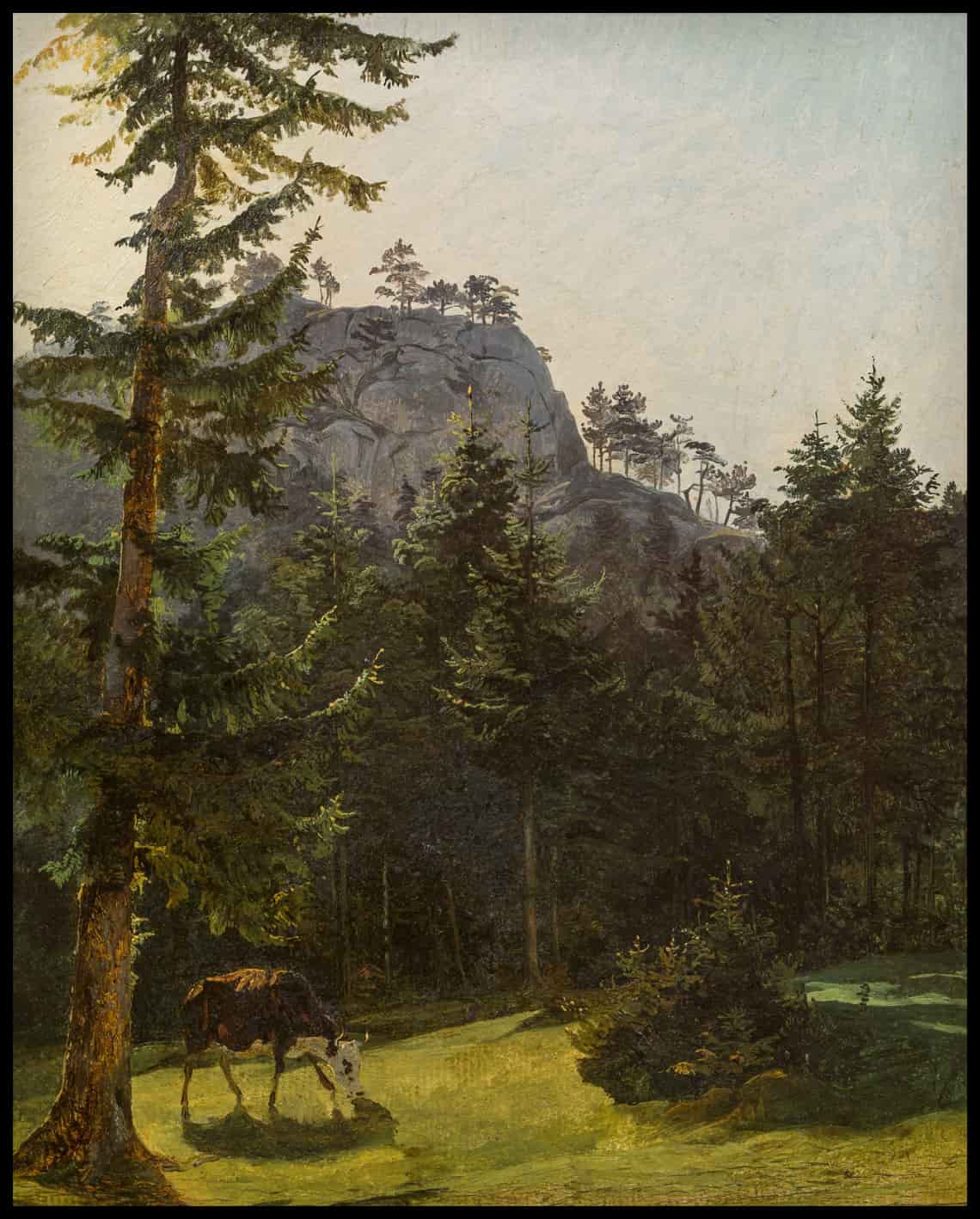 View of Liefering