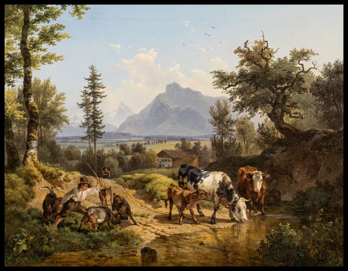 View of Liefering