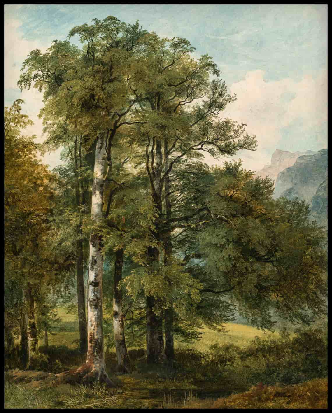 View of Liefering