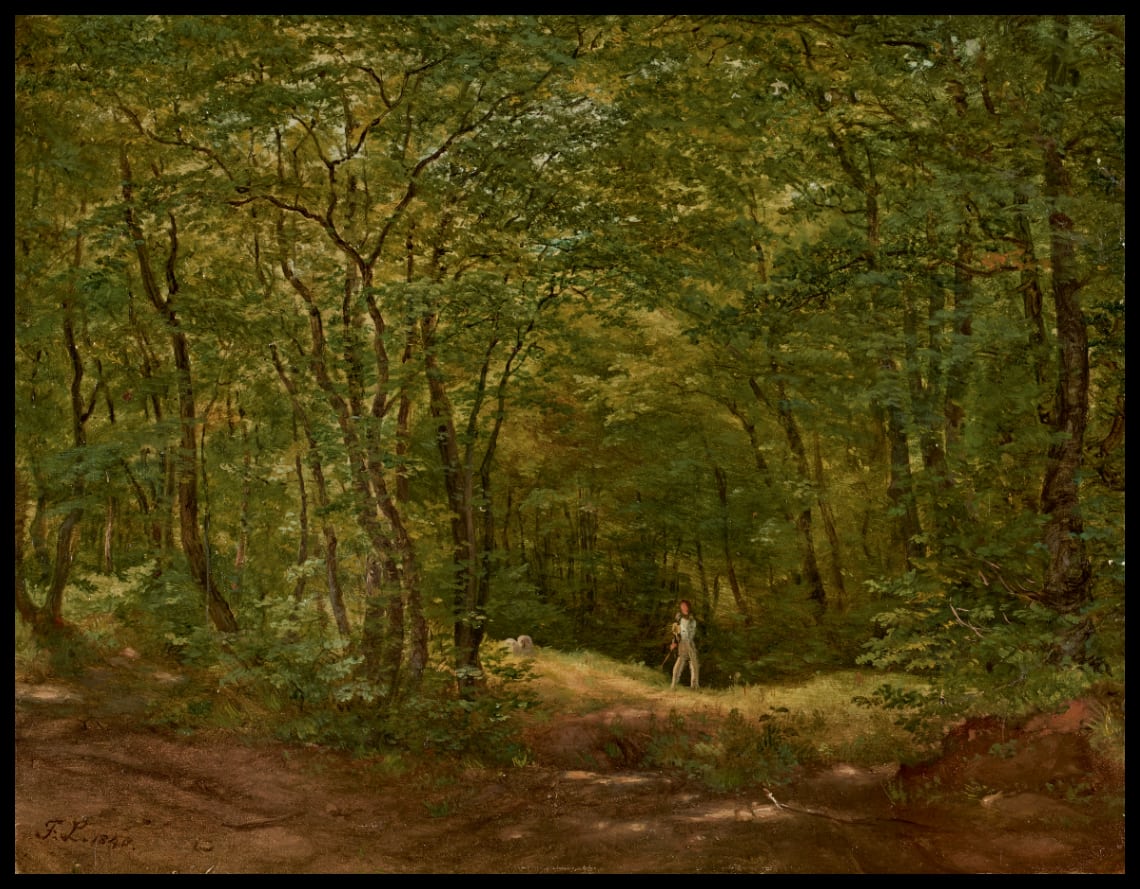 Spaziergänger in einer Waldlandschaft