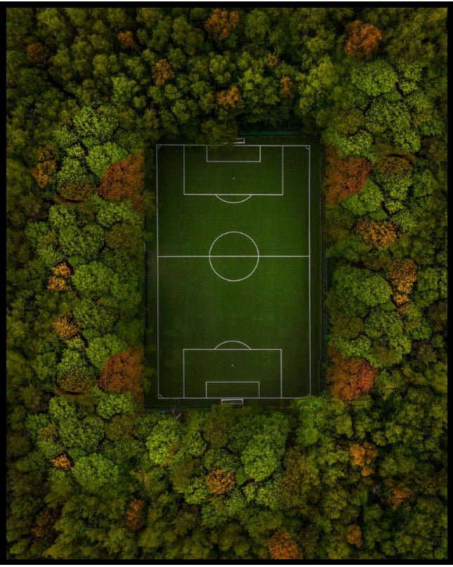 Ein Poster aus der Vogelperspektive von einem Fußballfeld das von Wald umgeben ist.