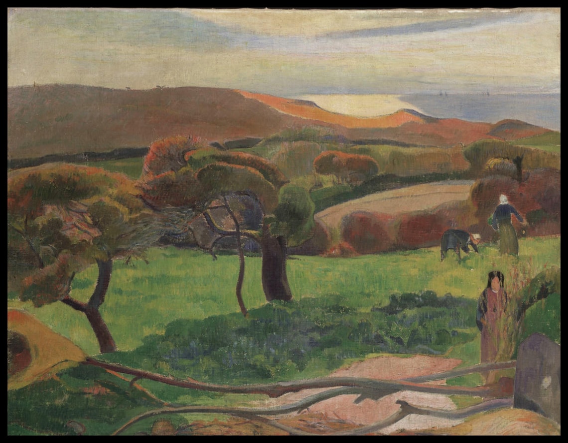 Fields by the Sea