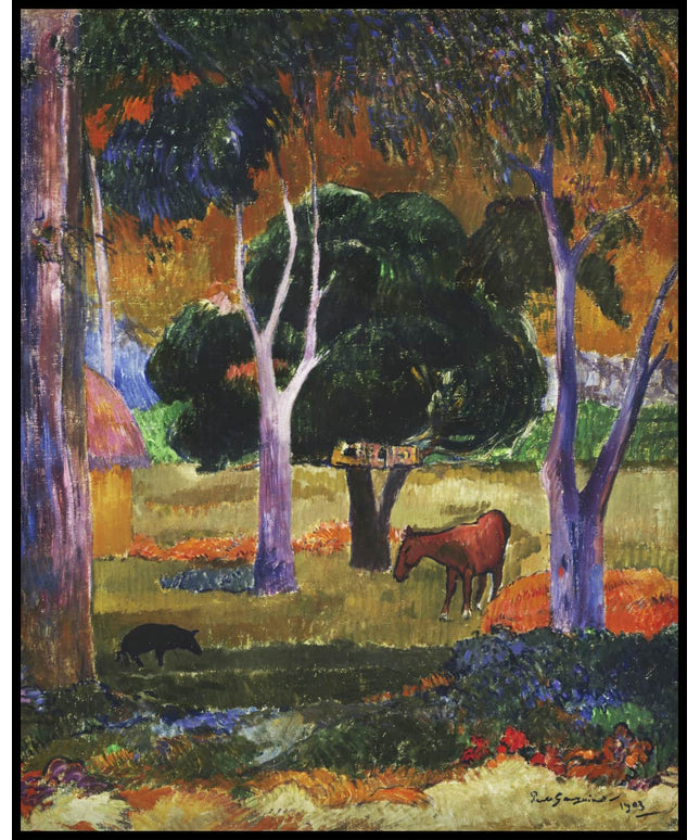 Landschaft auf La Dominique