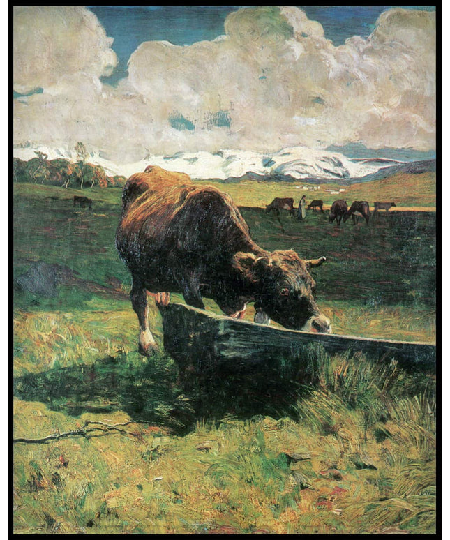 Braune Kuh an der Tränke