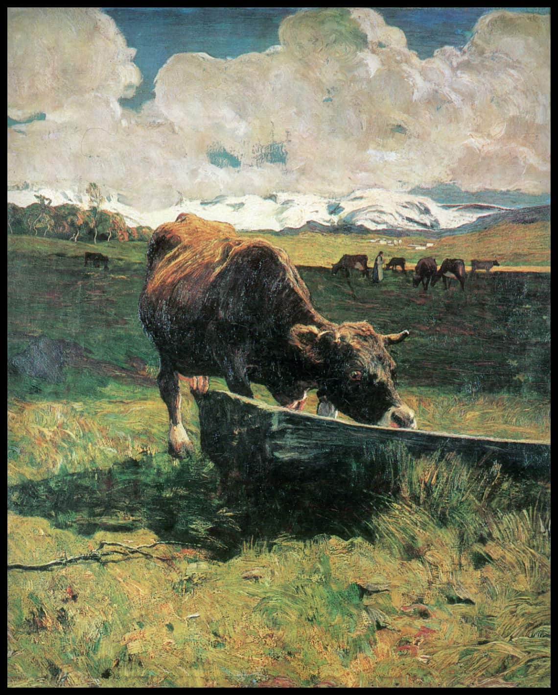 Braune Kuh an der Tränke