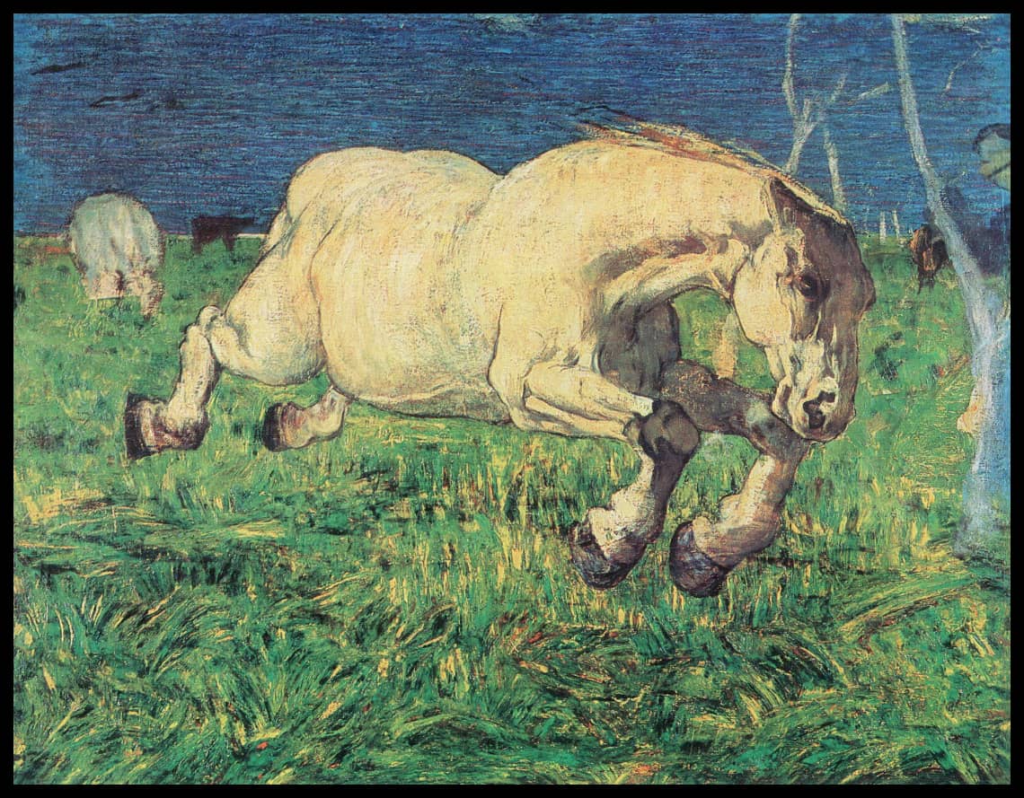Horse galloping