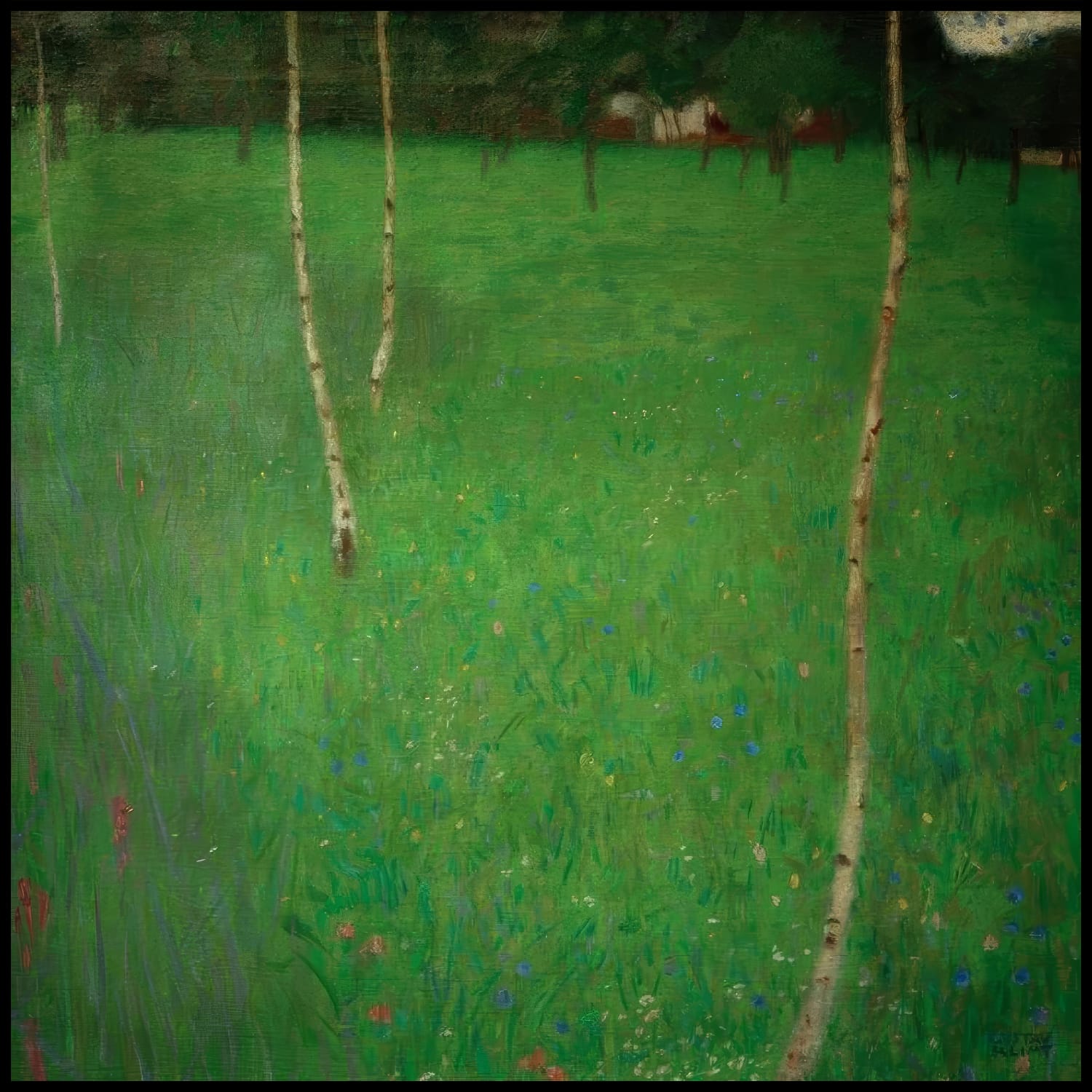 Farmhouse with birch trees