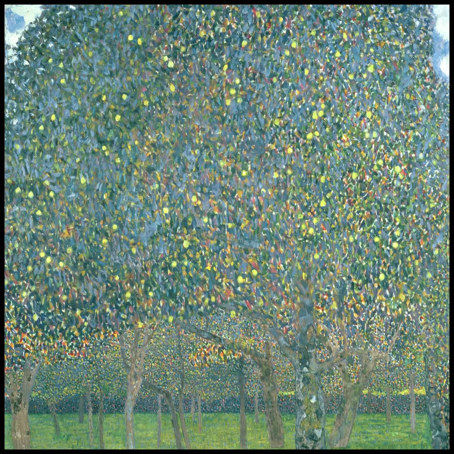 Pear tree