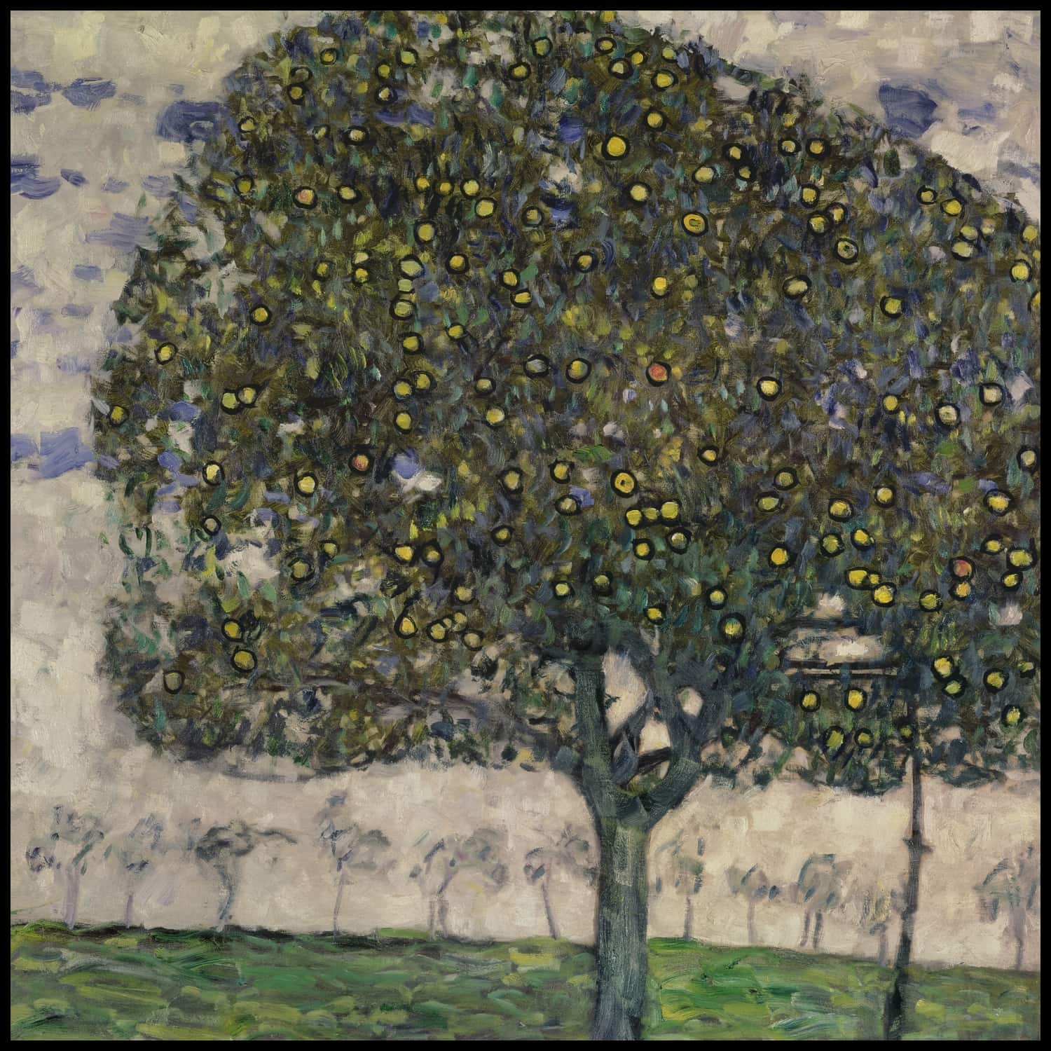 The apple tree II