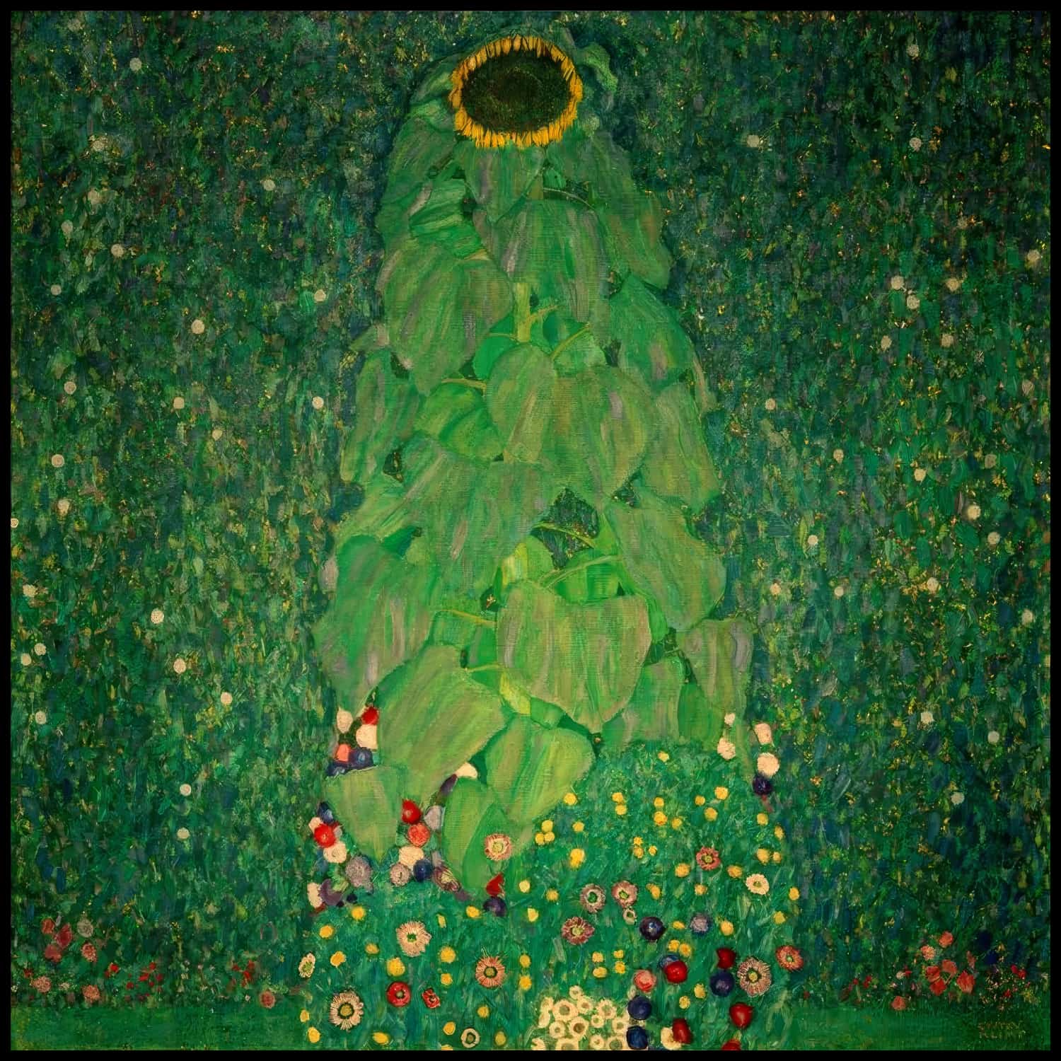 The sunflower