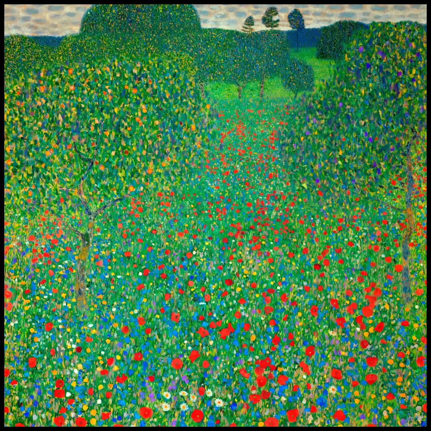 Poppy field