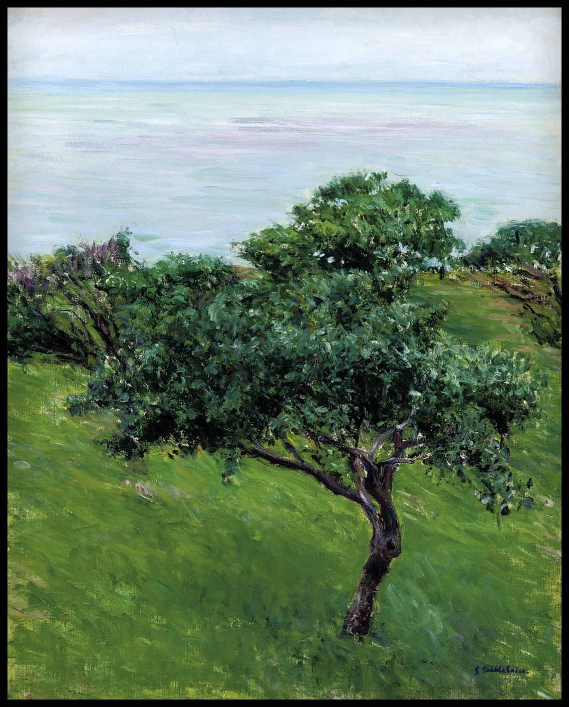 Pommiers au bord de la mer, Trouville
