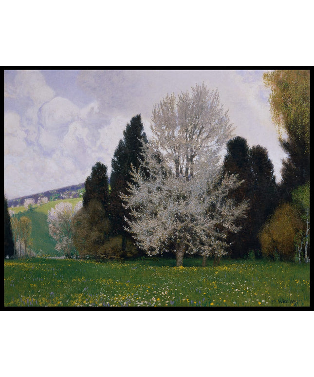 Frühling im Wienerwald