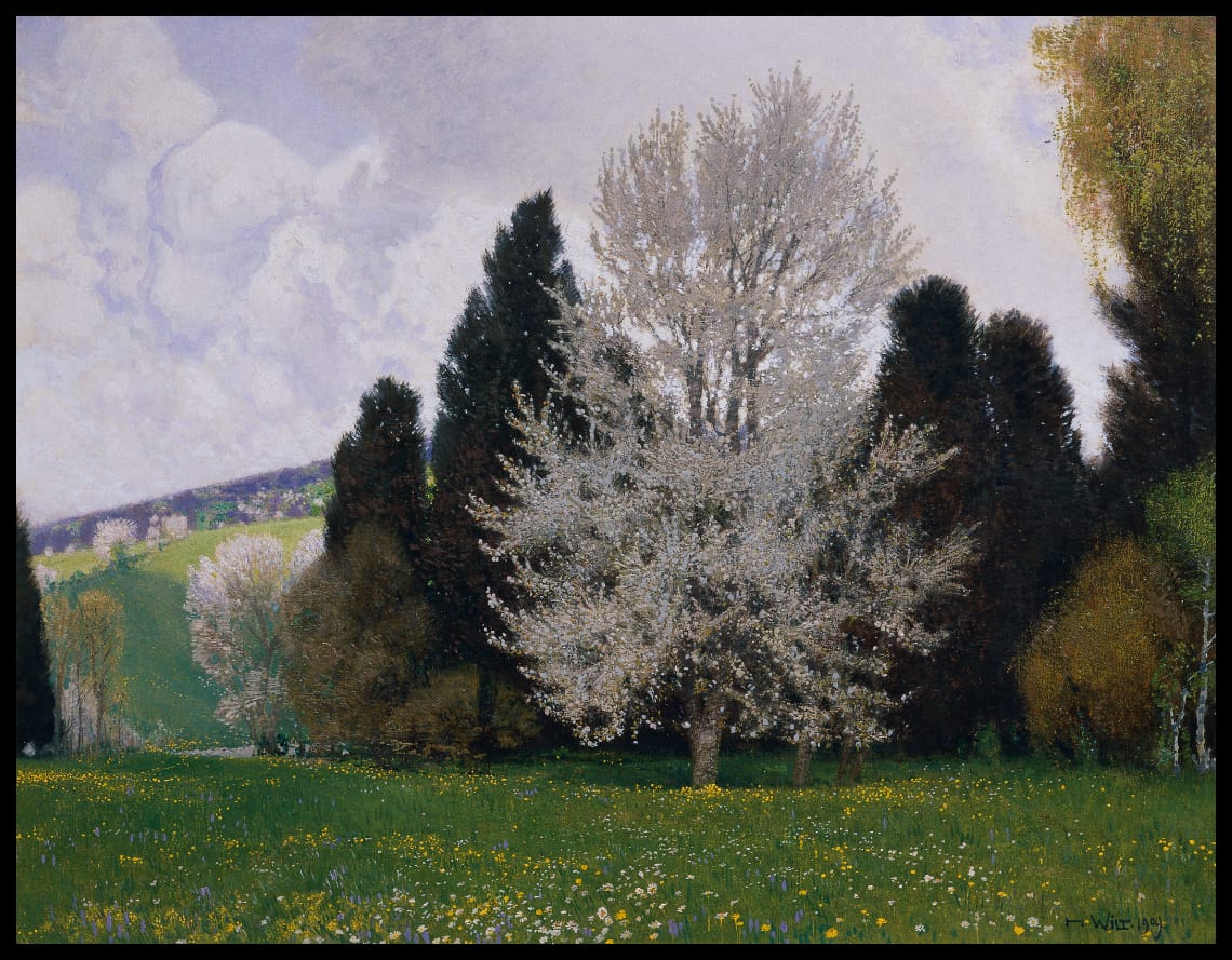 Frühling im Wienerwald
