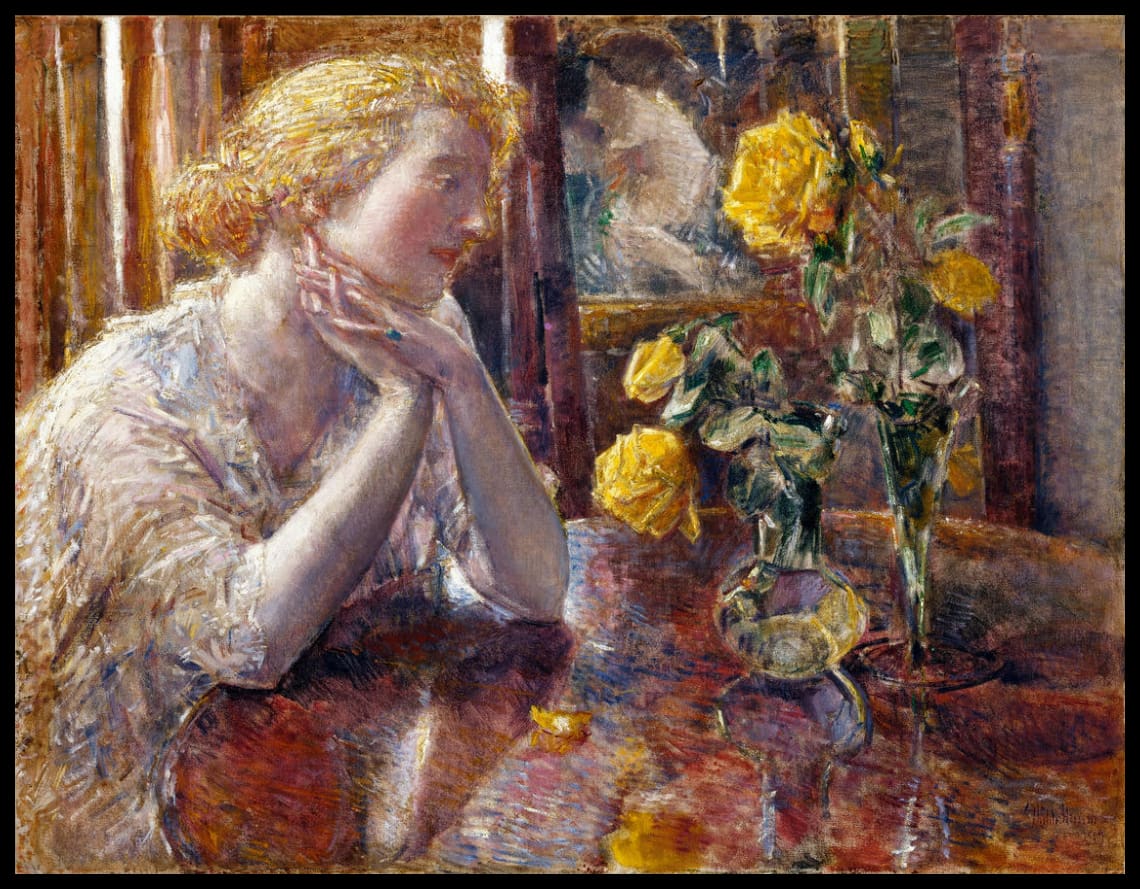 Maréchal Niel Roses