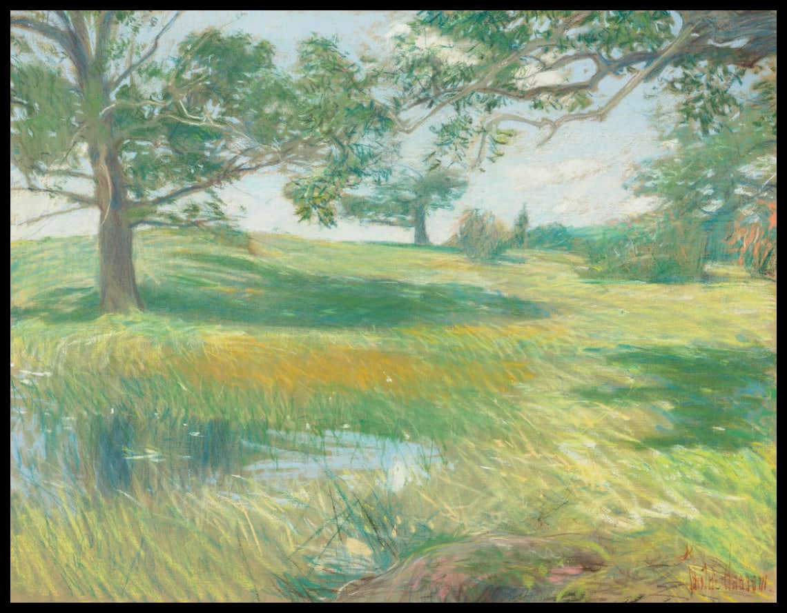 Meadows