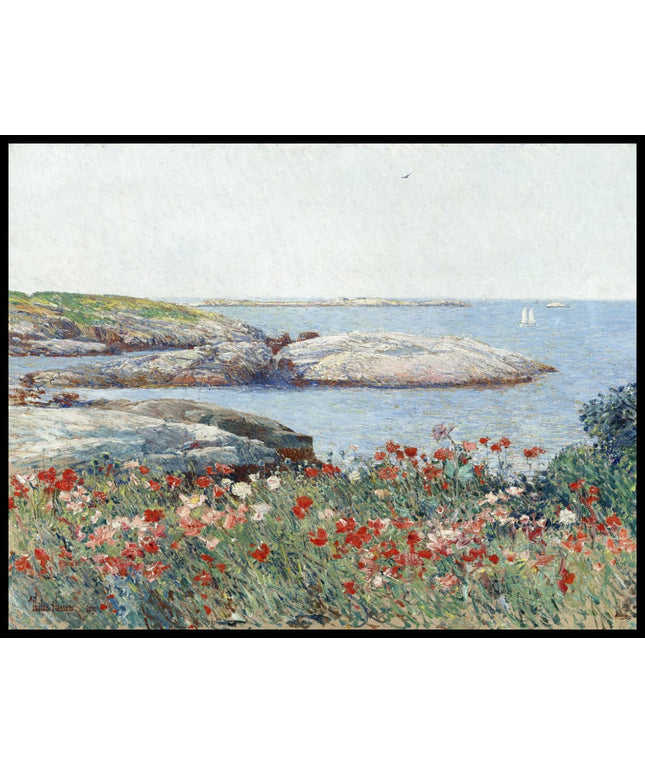 Poppies, Isles of Shoals