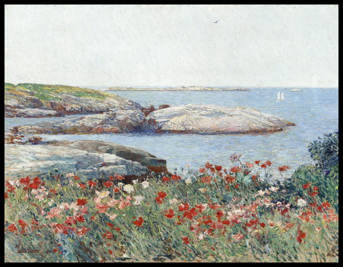 Poppies, îles de Shoals