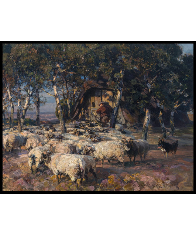 Heidschnuckenherde in der Abendsonne vor dem Köb in der Lüneburger Heide