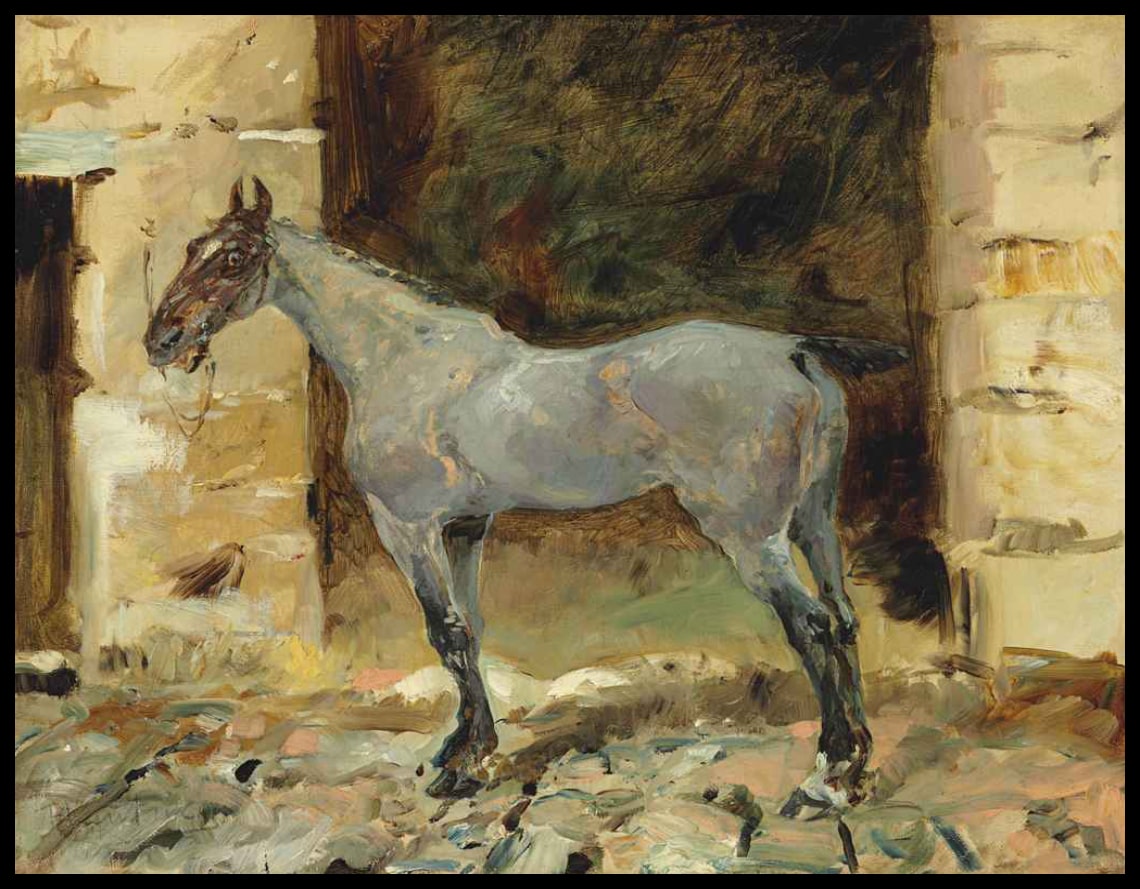 Cheval attaché