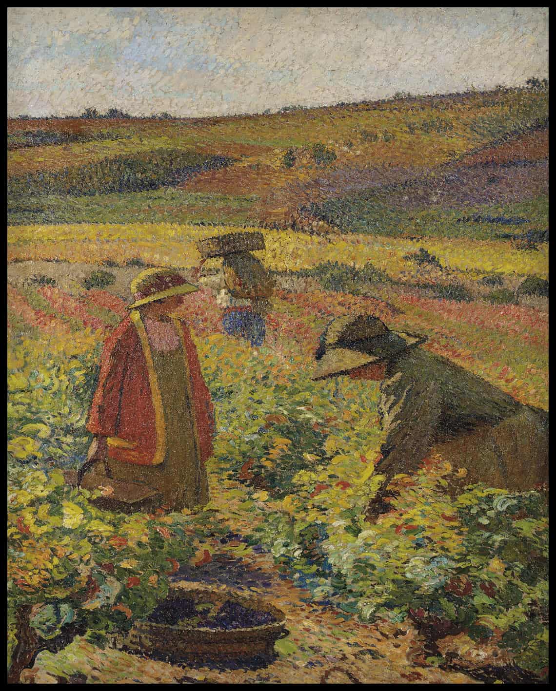 La cueillette