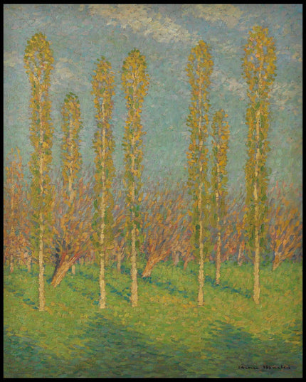 Les peupliers du printemps