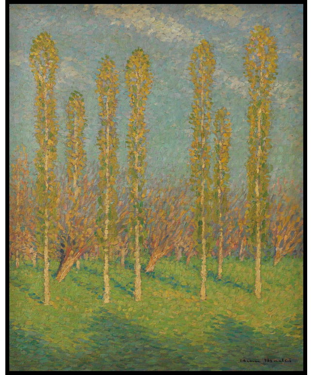 Les peupliers du printemps