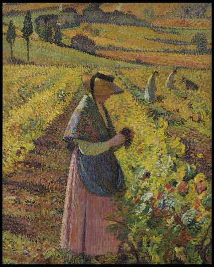Les vendanges