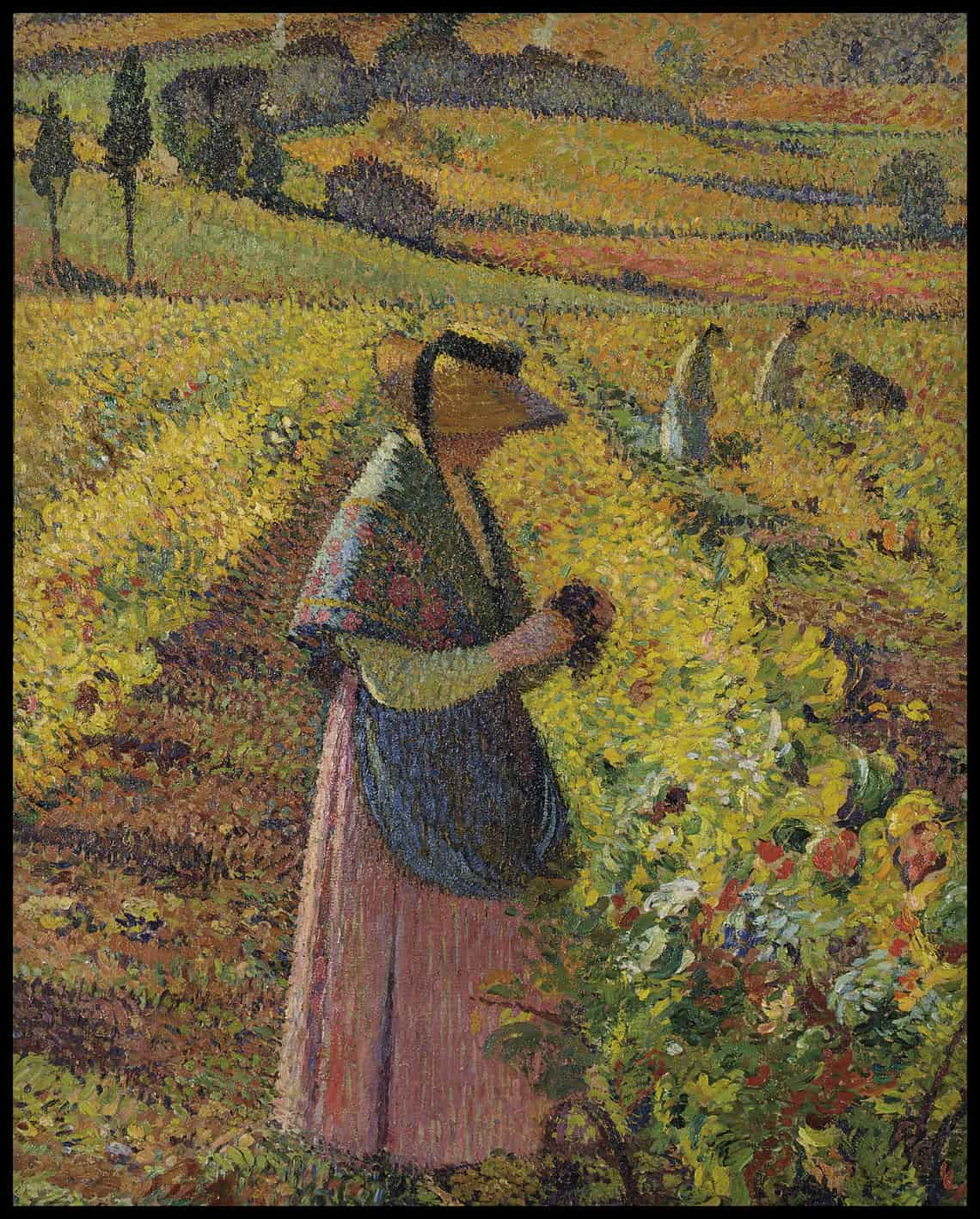 Les vendanges
