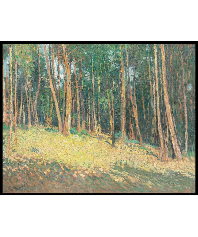 Paysage en forêt