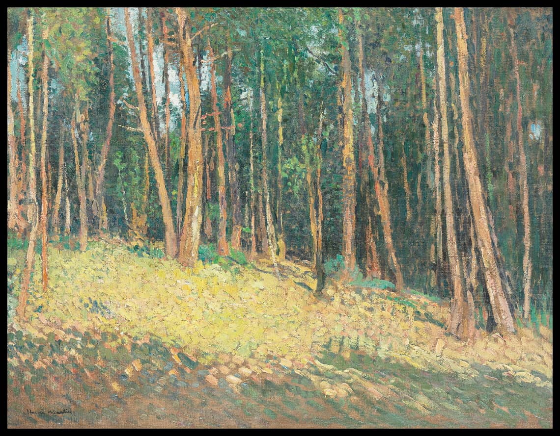 Paysage en forêt