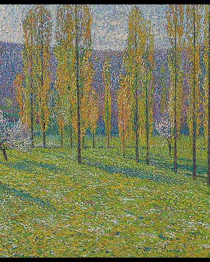 Peupliers au printemps au bord du Vert