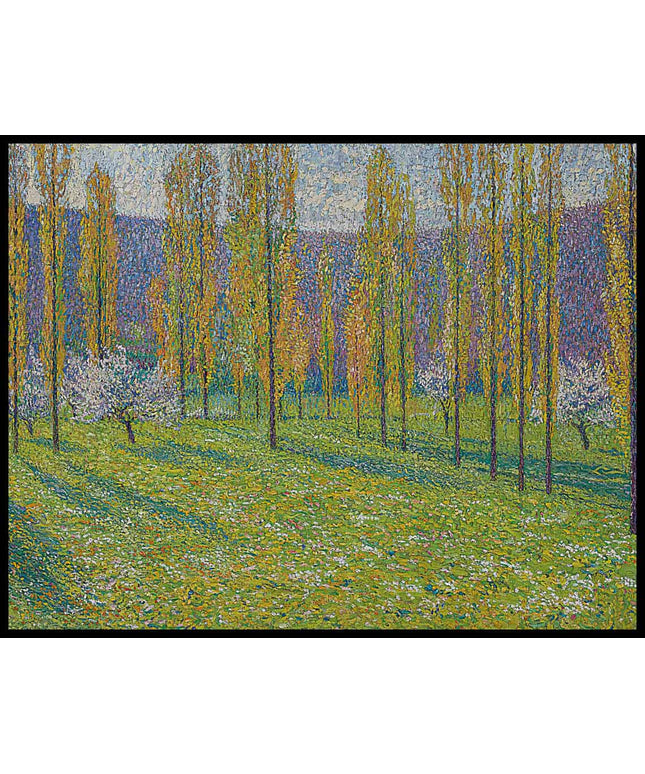 Peupliers au printemps au bord du Vert