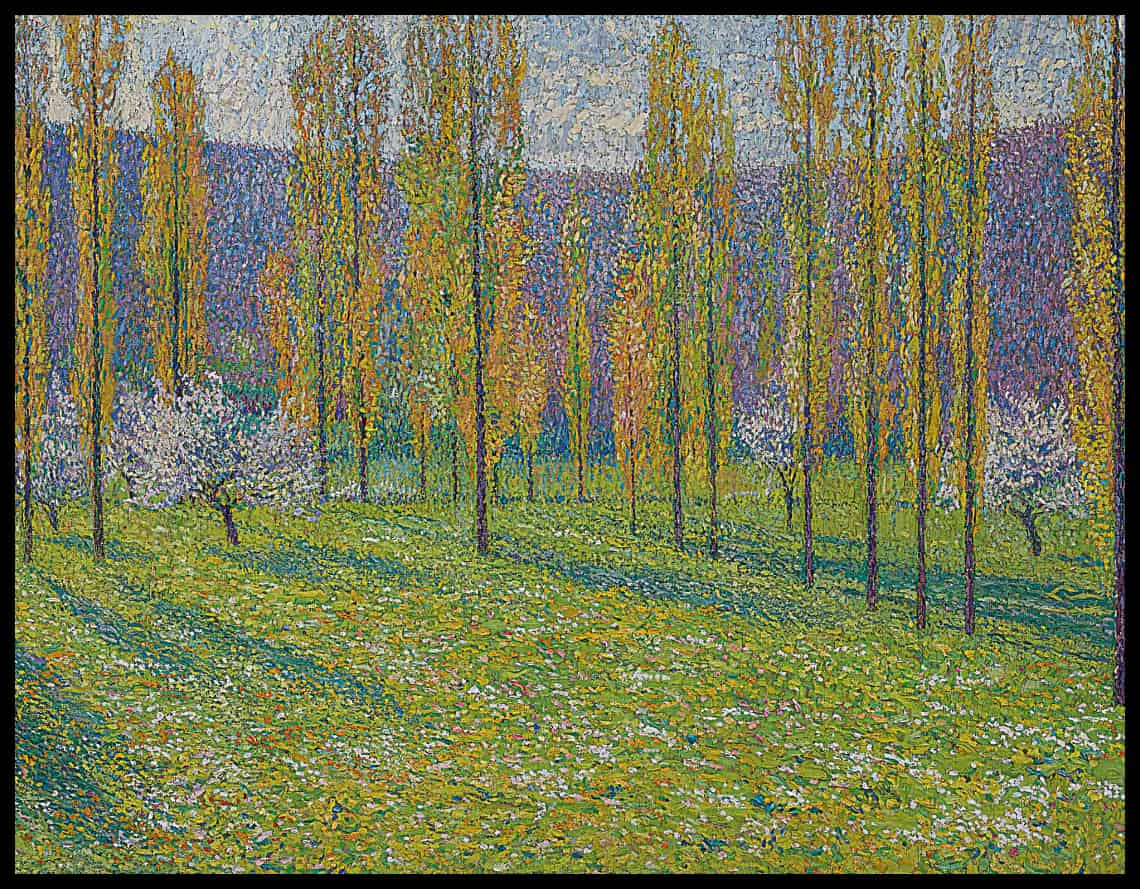 Peupliers au printemps au bord du Vert