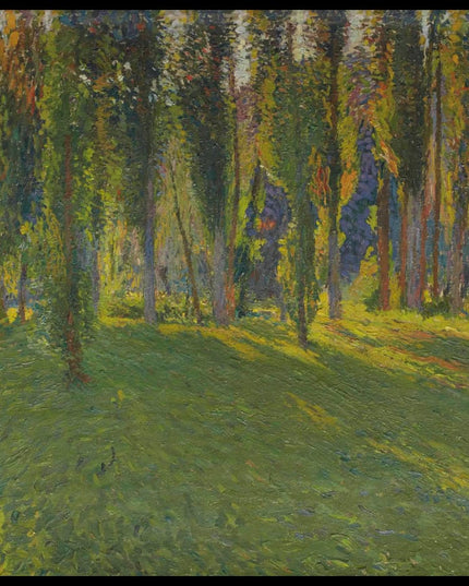 Peupliers dans la vallée du Vert, près de la Mouline