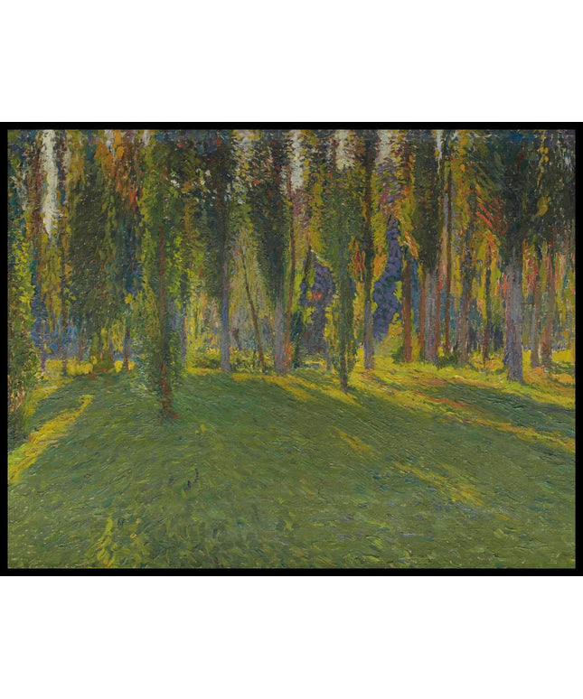 Peupliers dans la vallée du Vert, près de la Mouline