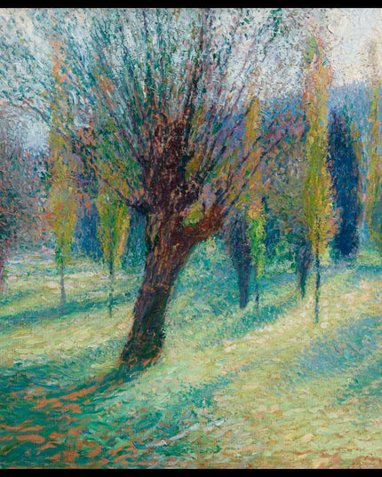 Saules dans la vallée du Vert