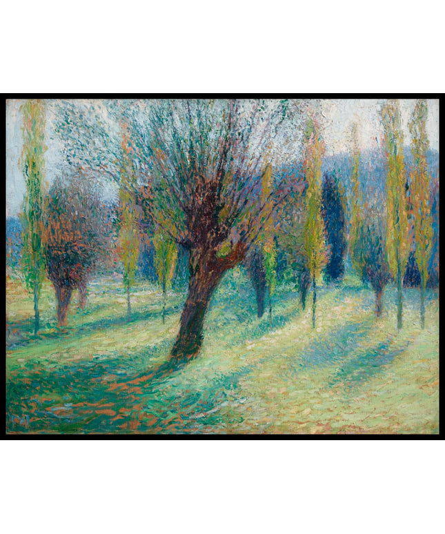 Saules dans la vallée du Vert