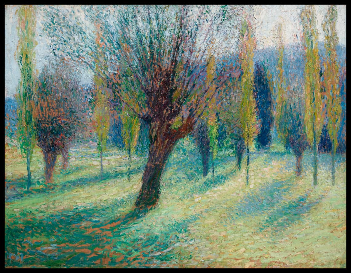 Saules dans la vallée du Vert