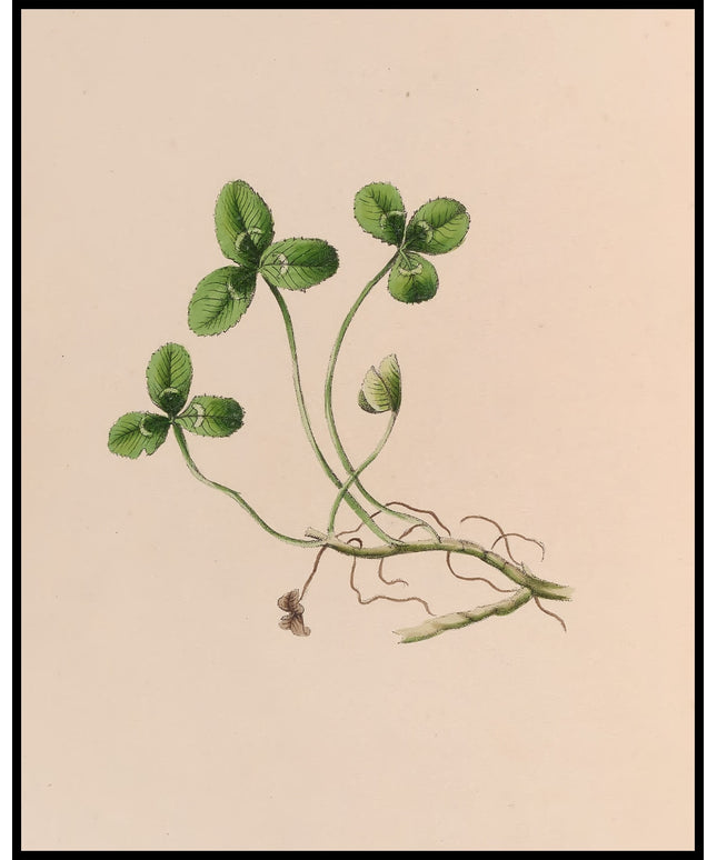 Maiglöckchen Poster