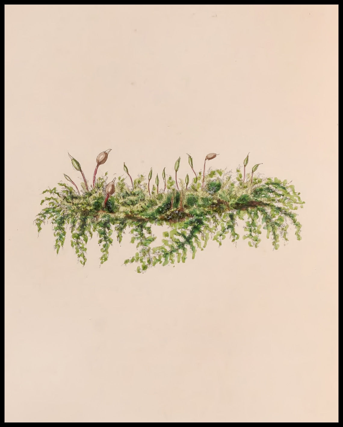 Mistelzweig Poster