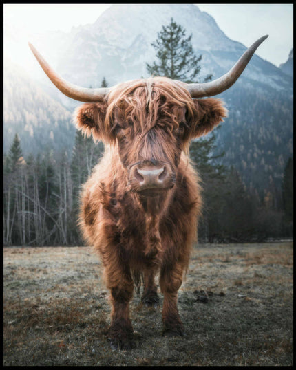 Ein Poster von einem Highland-Rind, das in einer Gebirgslandschaft steht.
