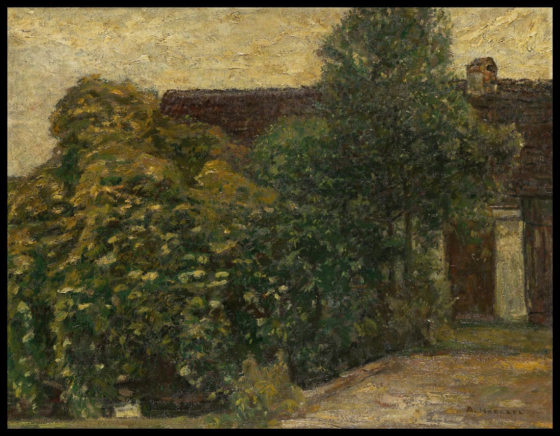 Arbres devant la maison